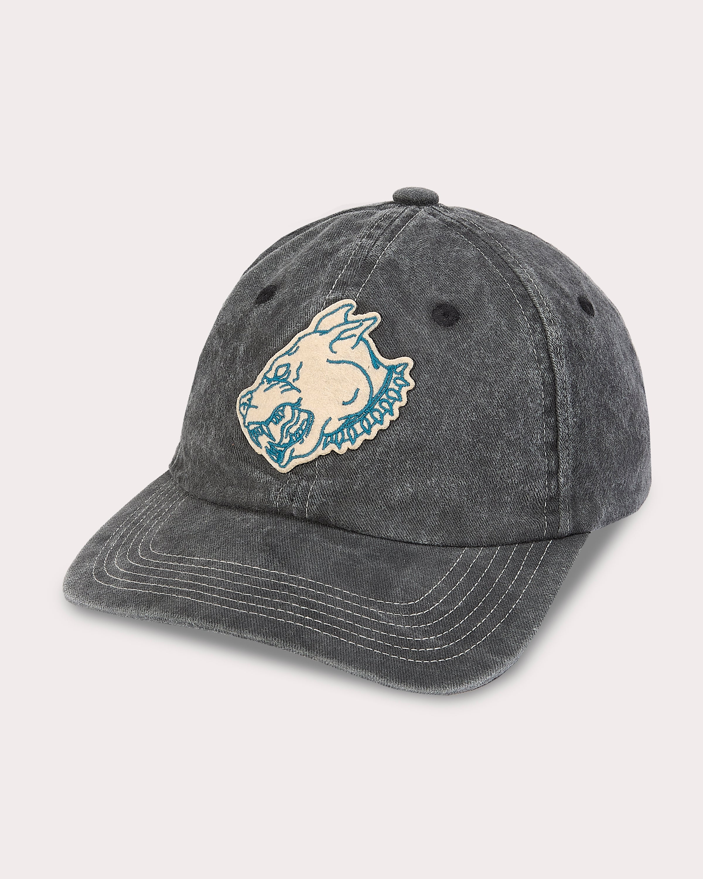 Cerberus Download 6 Panel Cap - Acid Wash