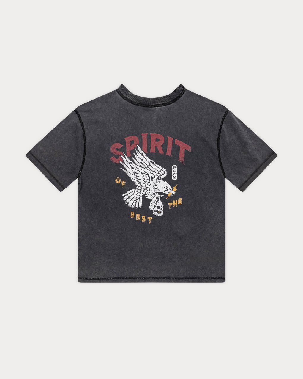 Spirit Boxy T-shirt - Acid Wash