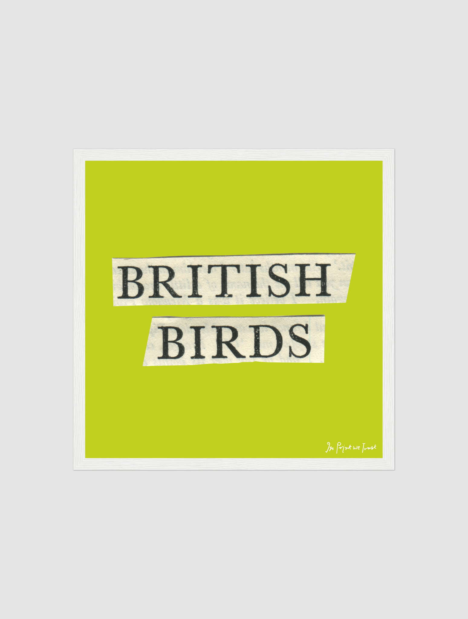 british birds framed art print